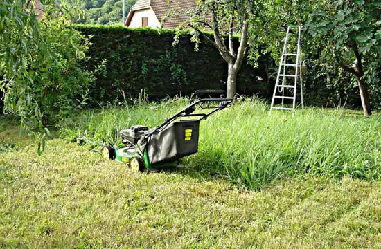 Débroussaillage tonte de pelouse 22-5